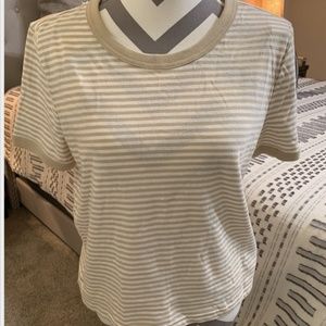 NWT New GAP Shrunken T Tan Striped Cropped T-Shirt Size L Large